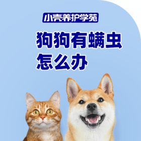 狗狗有螨虫怎么办