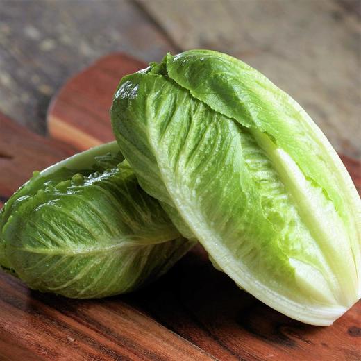 罗曼生菜 商品图0