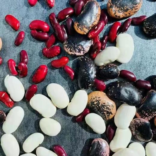 【云南高原农家养生豆】白芸豆/花腰豆/红腰豆 颗粒饱满 色泽光亮 是制作豆沙、豆馅、豆酥的上等原料  营养丰富 健康美味 6种规格任选 商品图5