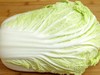大白菜每个大约5斤， 商品缩略图0