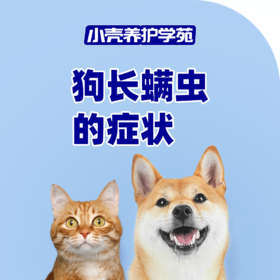 狗狗长螨虫的症状