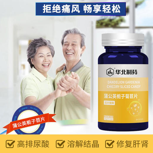 【降尿酸缓痛风】华北制药蒲公英栀子菊苣片尿酸高降酸降脂缓解痛风压片糖果 商品图1