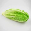 罗马生菜 商品缩略图0