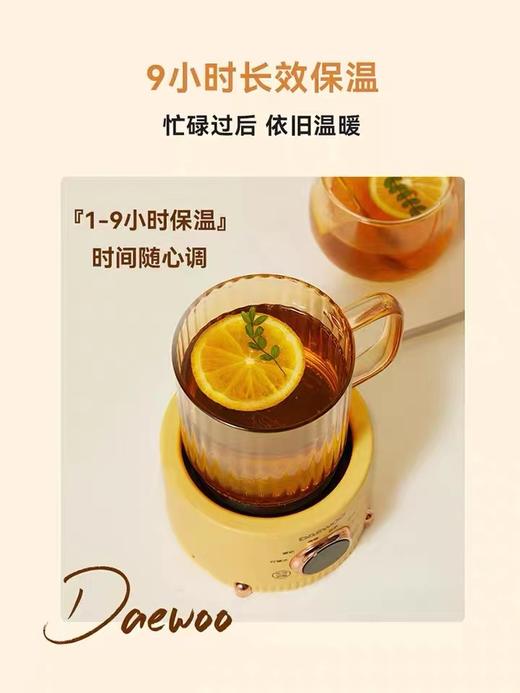 韩国大宇电炖杯 养生杯办公室小型煮茶器电热水杯热牛奶加热杯养生壶 商品图1
