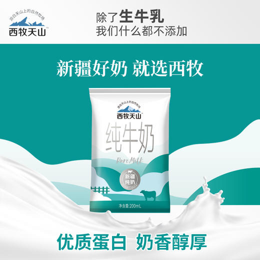 S 西牧天山纯牛奶利乐枕200ml*20袋 商品图3