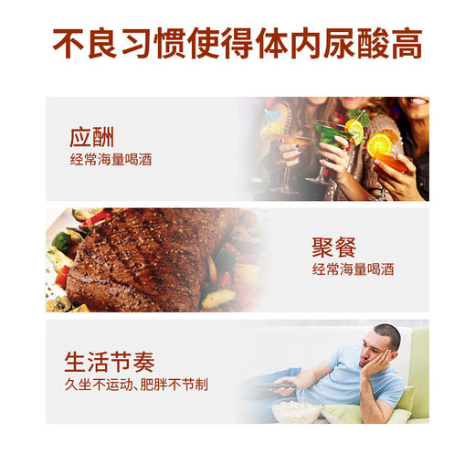 【降尿酸缓痛风】华北制药蒲公英栀子菊苣片尿酸高降酸降脂缓解痛风压片糖果 商品图2