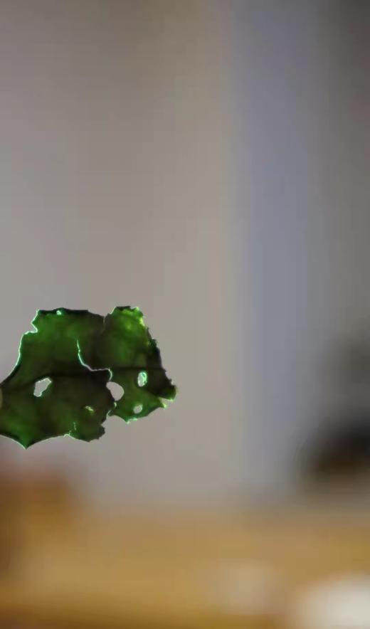 2022年福鼎白茶「芳野」系列 磻溪 荒野白茶  白毫银针 白牡丹 寿眉 商品图3