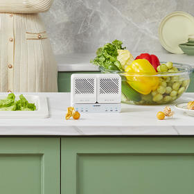 【blaupunkt/蓝宝】无线果蔬清洗机