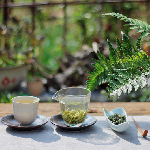 【2026东山碧螺春】中国十大名茶 洞庭碧螺春 绒毛遍布，口感清甜，花果香 产自苏州太湖东山 商品图2