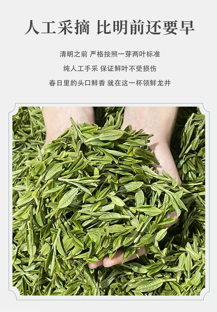 明前特级壹号西湖龙井茶茶叶250g绿茶礼盒装送礼 - 湖畔居茶叶旗舰店