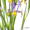 配花 | 鸢尾西贡小姐 商品缩略图3