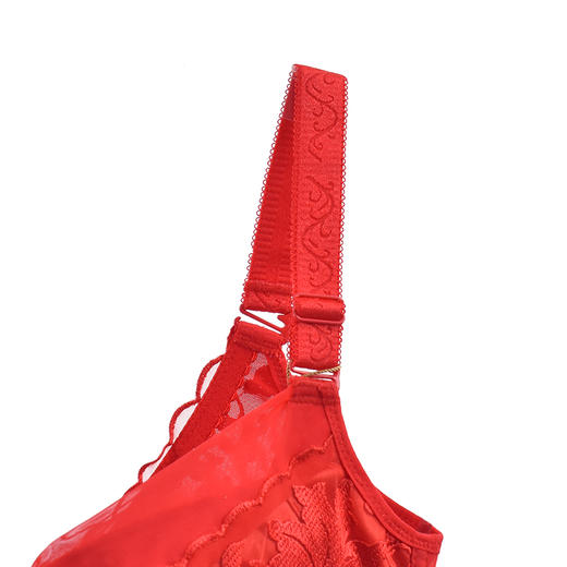 皇家丽美薄杯调整型文胸大胸显小收副乳内衣W1698-1 商品图3