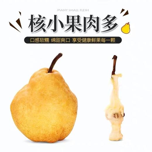 丑梨 商品图2