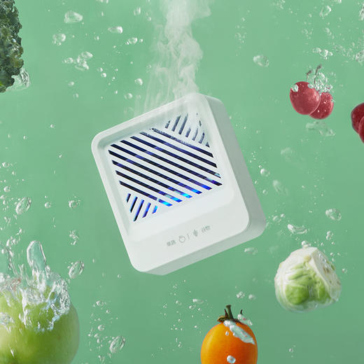 【blaupunkt/蓝宝】无线果蔬清洗机 商品图2