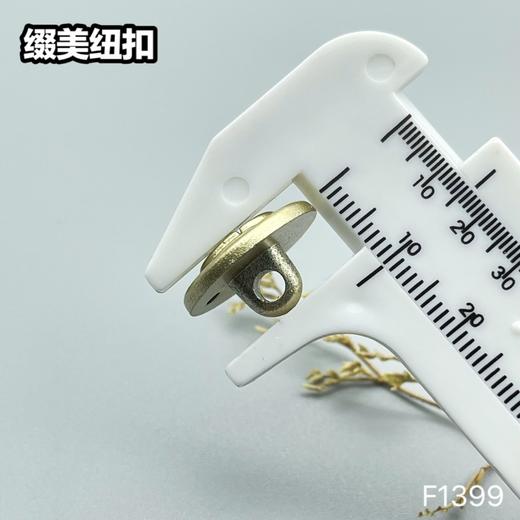 F1399(整包购买) 商品图4