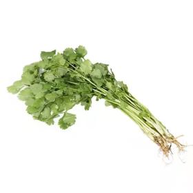 香菜