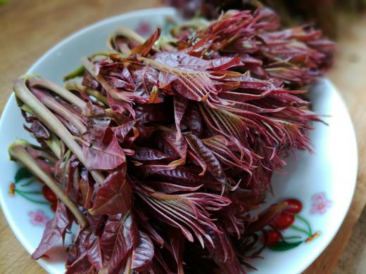 红油香椿丨250g（蒲韩） 商品图0