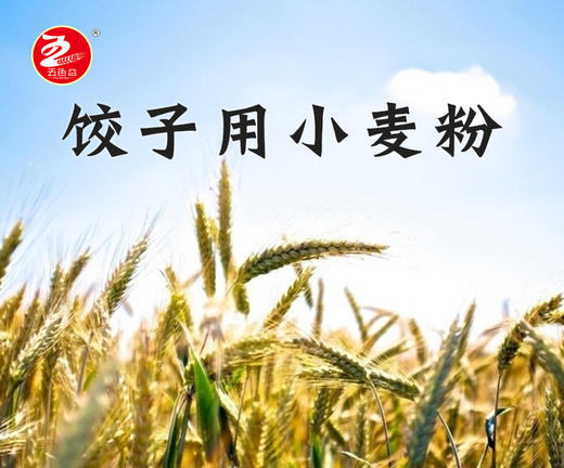 海伦五色谷饺子用小麦粉5kg袋装 商品图1