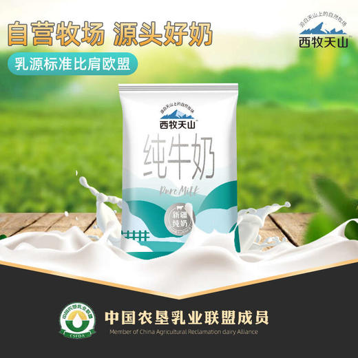 S 西牧天山纯牛奶利乐枕200ml*20袋 商品图0