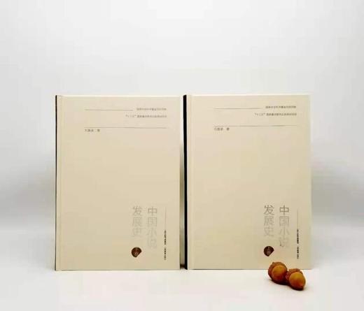 《中国小说发展史》，精装2册，带函套，16开，石昌渝著，山西教育出版社2019年版，定价198，售价150元。 商品图4