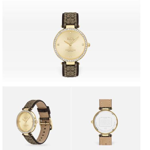 1楼COACH/蔻驰PARK系列经典日晖纹表盘时尚简约石英女士手表 商品图6