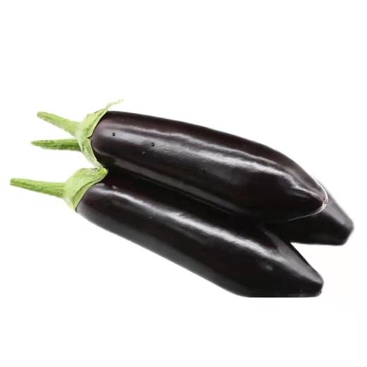 长茄子 商品图0