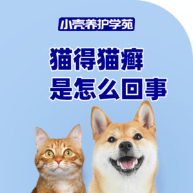 猫藓是怎么回事？