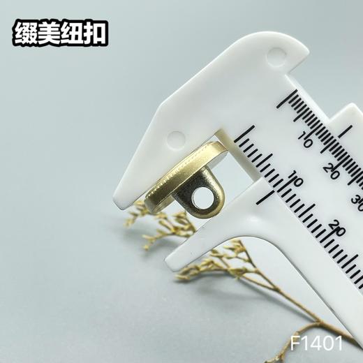 F1401(整包购买) 商品图4