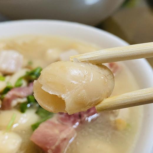 【云南高原农家养生豆】白芸豆/花腰豆/红腰豆 颗粒饱满 色泽光亮 是制作豆沙、豆馅、豆酥的上等原料  营养丰富 健康美味 6种规格任选 商品图6