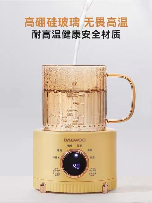 韩国大宇电炖杯 养生杯办公室小型煮茶器电热水杯热牛奶加热杯养生壶 商品图0
