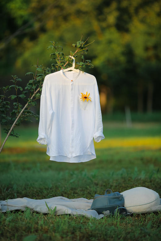 百搭款白衬衣，白衣飘飘的年代！ 商品图0