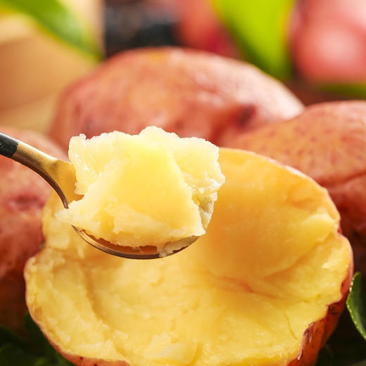 15.9元抢5斤 【产地直发】云南高原红皮土豆  青薯9号  沙面细腻 香甜软糯 人工现挖现发 商品图3