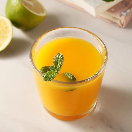 康元 沙棘果汁饮料 200ml10瓶1箱 商品图4