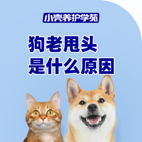 狗老甩头是什么原因
