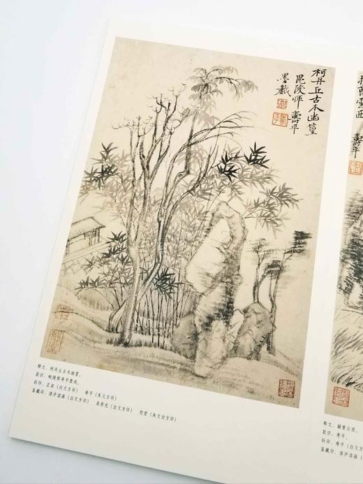 《兴与古会：恽寿平和吴湖帆<仿古山水册>》，8开，册页装，恽寿平、吴湖帆绘，上海书画出版社2019年版，定价128,售价80元。非偏远地区包邮。

《兴与古会：恽寿平和吴湖帆的<仿古山水册>》收录了恽 商品图5