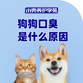 狗狗口臭是什么原因