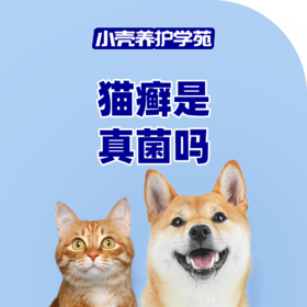 猫癣是真菌吗