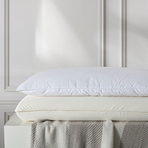 寐·5S蚕丝云浮枕 商品图4