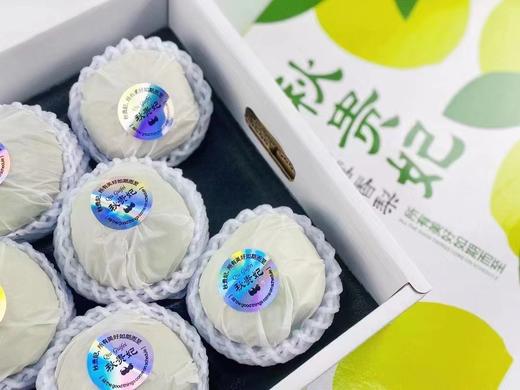 #秋贵妃·玉露香梨🍐——所有美好如期而至！秋冬必备的香梨，源自梨乡隰县的稀有品种，脆甜、细腻！嫩白的果肉，入口清甜多汁，一口爆汁，甜脆无渣！ 商品图3