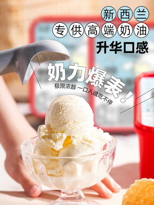 SoftCrush轻遇0蔗糖益生菌鲜奶冰淇淋特浓牛乳/红茶黑巧/多肉草莓 味道可选 商品图0