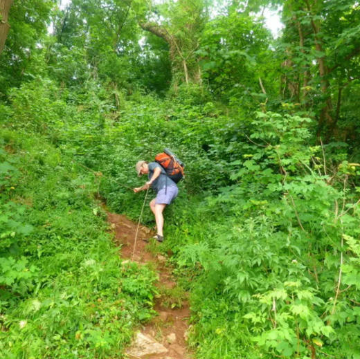 100米超长9芯12芯加强版超耐用多功能户外生存狂伞绳 商品图2