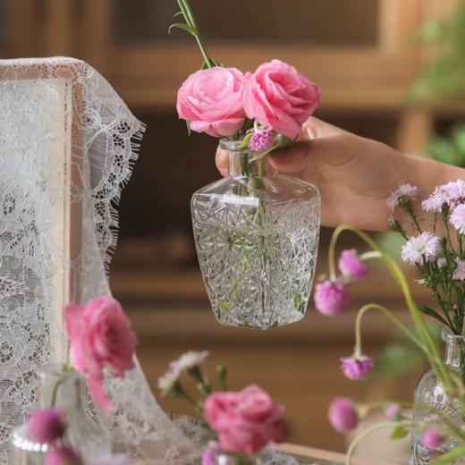 【折断的花儿也应该有归宿】简小姐精选 高颜值 复古玻璃迷你小花瓶 下单72小时发货 商品图3