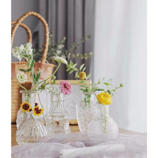 【折断的花儿也应该有归宿】简小姐精选 高颜值 复古玻璃迷你小花瓶 下单72小时发货 商品图2