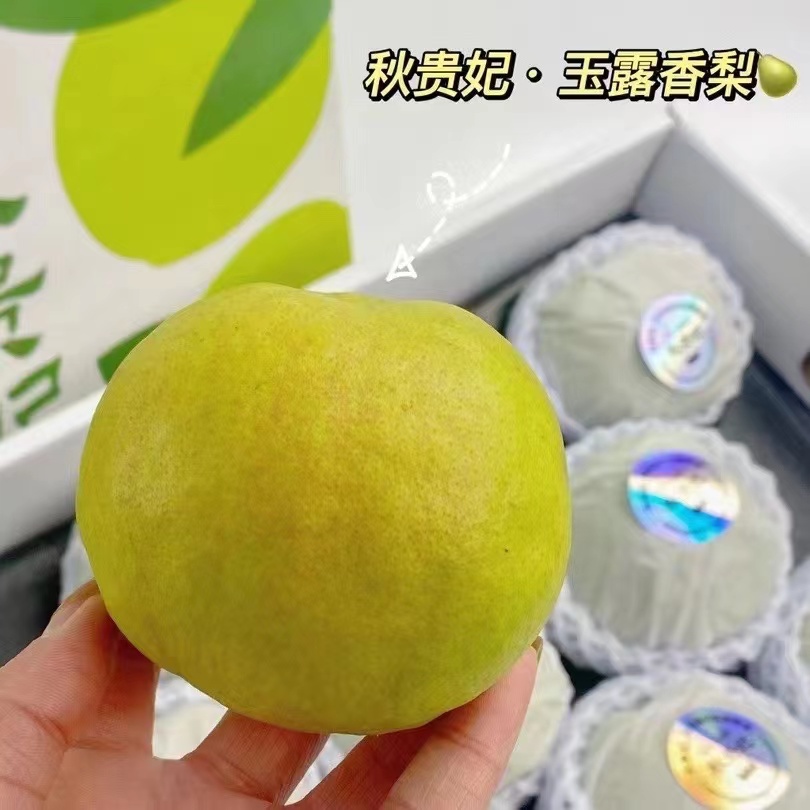 #秋贵妃·玉露香梨🍐——所有美好如期而至！秋冬必备的香梨，源自梨乡隰县的稀有品种，脆甜、细腻！嫩白的果肉，入口清甜多汁，一口爆汁，甜脆无渣！