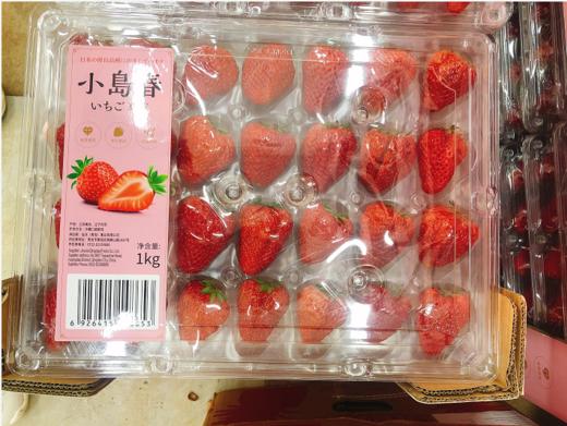 小岛春草莓一盒（补单） 商品图2