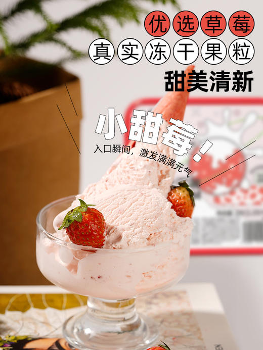 SoftCrush轻遇0蔗糖益生菌鲜奶冰淇淋特浓牛乳/红茶黑巧/多肉草莓 味道可选 商品图2