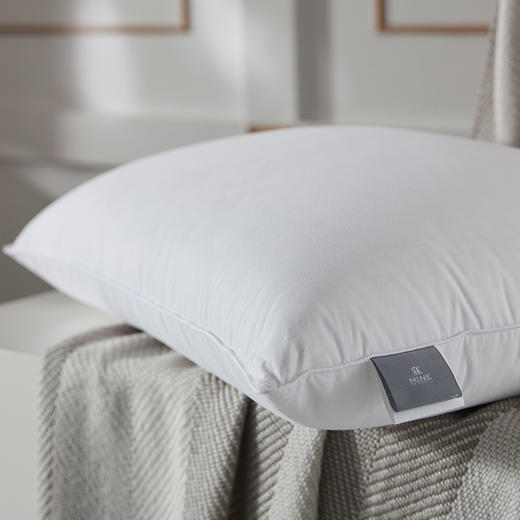 寐·5S蚕丝云浮枕 商品图5