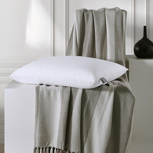 寐·5S蚕丝云浮枕 商品图3