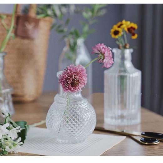 【折断的花儿也应该有归宿】简小姐精选 高颜值 复古玻璃迷你小花瓶 下单72小时发货 商品图1