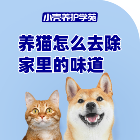 养猫怎么去除家里的味道